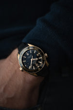 Omega Seamaster Planet Ocean (Red Gold)